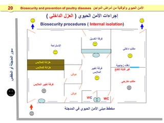 ‫اإلستراحة‬
‫داخلي‬ ‫مكتب‬
‫تغيير‬ ‫غرفة‬
‫المالبس‬
‫دوش‬
‫دوش‬
‫الغسيل‬ ‫غرفة‬
WC
‫للمالبس‬ ‫خزانة‬
‫للمالبس‬ ‫خزانة‬
WC
‫خارجي‬ ‫مكتب‬
‫المالبس‬ ‫تغيير‬ ‫غرفة‬
‫المفقس‬‫أو‬‫المدجنة‬‫سور‬
‫المدجنة‬ ‫في‬ ‫الحيوي‬ ‫األمن‬ ‫مبنى‬ ‫مخطط‬
‫الحيوي‬ ‫األمن‬ ‫إجراءات‬(‫الداخلي‬ ‫العزل‬)
Biosecurity procedures ( Internal isolation)
‫زجاجية‬ ‫نافذه‬
‫للفتح‬ ‫قابلة‬ ‫غير‬
‫الدواجن‬ ‫أمراض‬ ‫من‬ ‫والوقاية‬ ‫الحيوي‬ ‫األمن‬Biosecurity and prevention of poultry diseases20
 