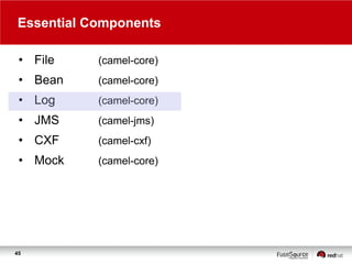 Essential Components
• File

(camel-core)

• Bean

(camel-core)

• Log

(camel-core)

• JMS

(camel-jms)

• CXF

(camel-cxf)

• Mock

(camel-core)

45

 