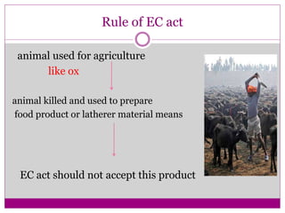 Rule of EC act
animal used for agriculture
like ox
animal killed and used to prepare
food product or latherer material means
EC act should not accept this product
 
