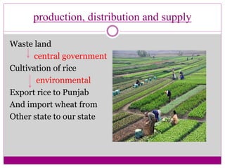 production, distribution and supply
Waste land
central government
Cultivation of rice
environmental
Export rice to Punjab
And import wheat from
Other state to our state
 