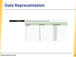 Data Representation     XP




Essential Computer Concepts        10
 