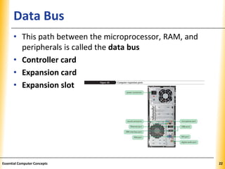 XPXPXPData Bus
• This path between the microprocessor, RAM, and
peripherals is called the data bus
• Controller card
• Expansion card
• Expansion slot
22Essential Computer Concepts
 