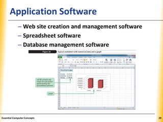 XPXPXPApplication Software
– Web site creation and management software
– Spreadsheet software
– Database management software
29Essential Computer Concepts
 