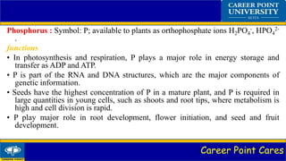 Career Point Cares
Phosphorus : Symbol: P; available to plants as orthophosphate ions H2PO4
-, HPO4
2-
.
functions
• In photosynthesis and respiration, P plays a major role in energy storage and
transfer as ADP and ATP.
• P is part of the RNA and DNA structures, which are the major components of
genetic information.
• Seeds have the highest concentration of P in a mature plant, and P is required in
large quantities in young cells, such as shoots and root tips, where metabolism is
high and cell division is rapid.
• P play major role in root development, flower initiation, and seed and fruit
development.
 