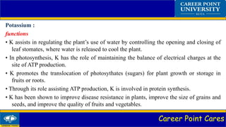 Career Point Cares
Potassium :
functions
• K assists in regulating the plant’s use of water by controlling the opening and closing of
leaf stomates, where water is released to cool the plant.
• In photosynthesis, K has the role of maintaining the balance of electrical charges at the
site of ATP production.
• K promotes the translocation of photosythates (sugars) for plant growth or storage in
fruits or roots.
• Through its role assisting ATP production, K is involved in protein synthesis.
• K has been shown to improve disease resistance in plants, improve the size of grains and
seeds, and improve the quality of fruits and vegetables.
 