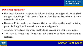 Career Point Cares
Deficiency symptoms
• The most common symptom is chlorosis along the edges of leaves (leaf
margin scorching). This occurs first in older leaves, because K is very
mobile in the plant.
• Because K is needed in photosynthesis and the synthesis of proteins,
plants lacking K will have slow and stunted growth.
• In some crops, stems are weak and lodging is common if K is deficient.
• The size of seeds and fruits and the quantity of their production is
reduced.
 