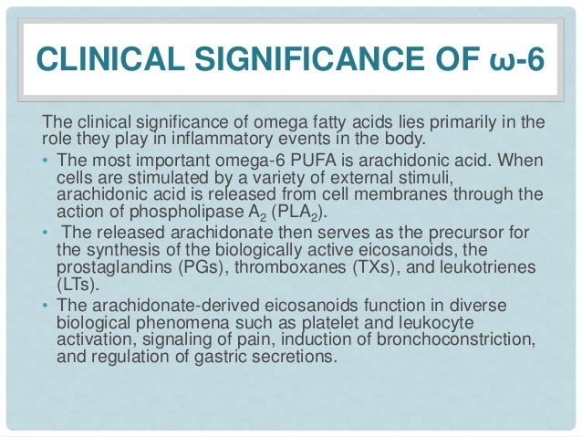 function of fatty acids