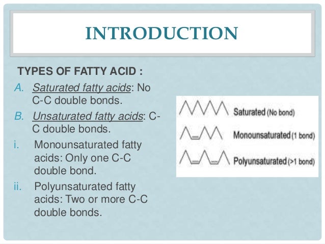 function of fatty acids