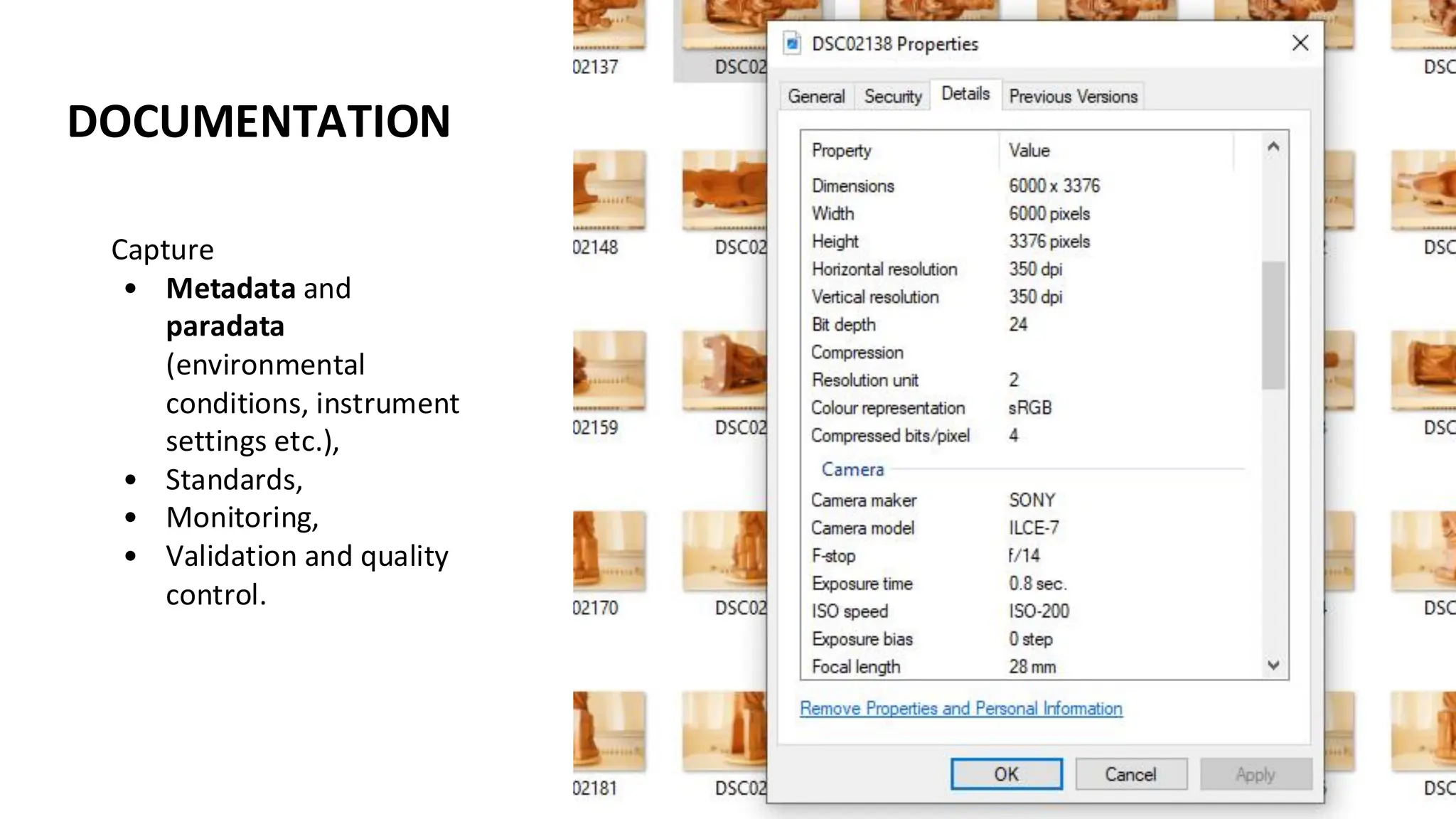 DOCUMENTATION
Capture
• Metadata and
paradata
(environmental
conditions, instrument
settings etc.),
• Standards,
• Monitoring,
• Validation and quality
control.
 