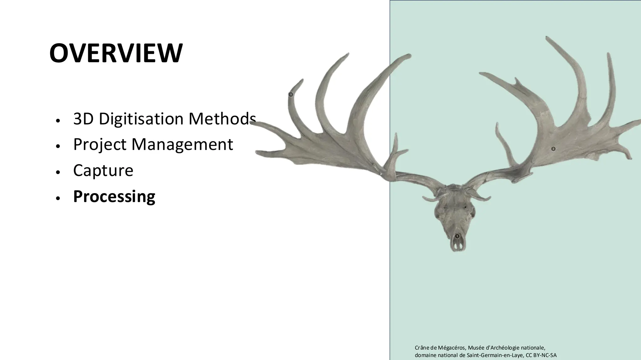 OVERVIEW
• 3D Digitisation Methods
• Project Management
• Capture
• Processing
Crâne de Mégacéros, Musée d'Archéologie nationale,
domaine national de Saint-Germain-en-Laye, CC BY-NC-SA
 