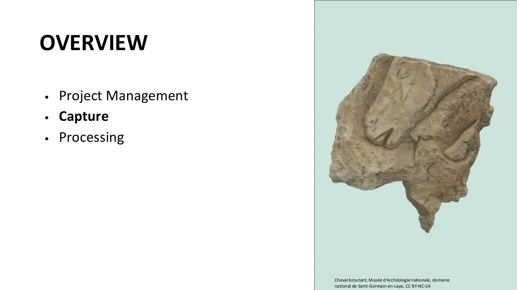 OVERVIEW
• Project Management
• Capture
• Processing
Cheval broutant, Musée d'Archéologie nationale, domaine
national de Saint-Germain-en-Laye, CC BY-NC-SA
 