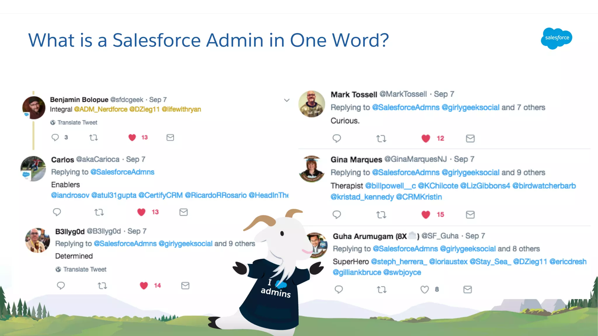 What is a Salesforce Admin in One Word?
 