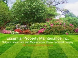 Essential Property Maintenance In
Essential Property Maintenance Inc.
Calgary Lawn Care and Maintenance |Snow Removal Calgary
http://www.essentiallawncare.ca
 