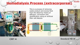 Diffusion Dialysis Process Machine Comprehensive Essentials of Hemodialysis: Principles, Equipment, and ...