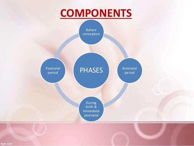 essentials of newborn care
