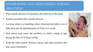 ESTABLISHING AND MAINTAINING NORMAL
BREATHING
• Wipe mouth and nose of secretions after delivery of the head.
• Suction secretions from mouth and nose.
• A crying infant is a breathing infant. Stimulate the baby to cry if
baby does not cry spontaneously or if the cry is weak
• Oral mucus may cause the newborn, to choke, cough or gag
during the first 12-18 hours of life.
• Keep the nares patent. Remove mucus and other particles that
may cause obstruction
 