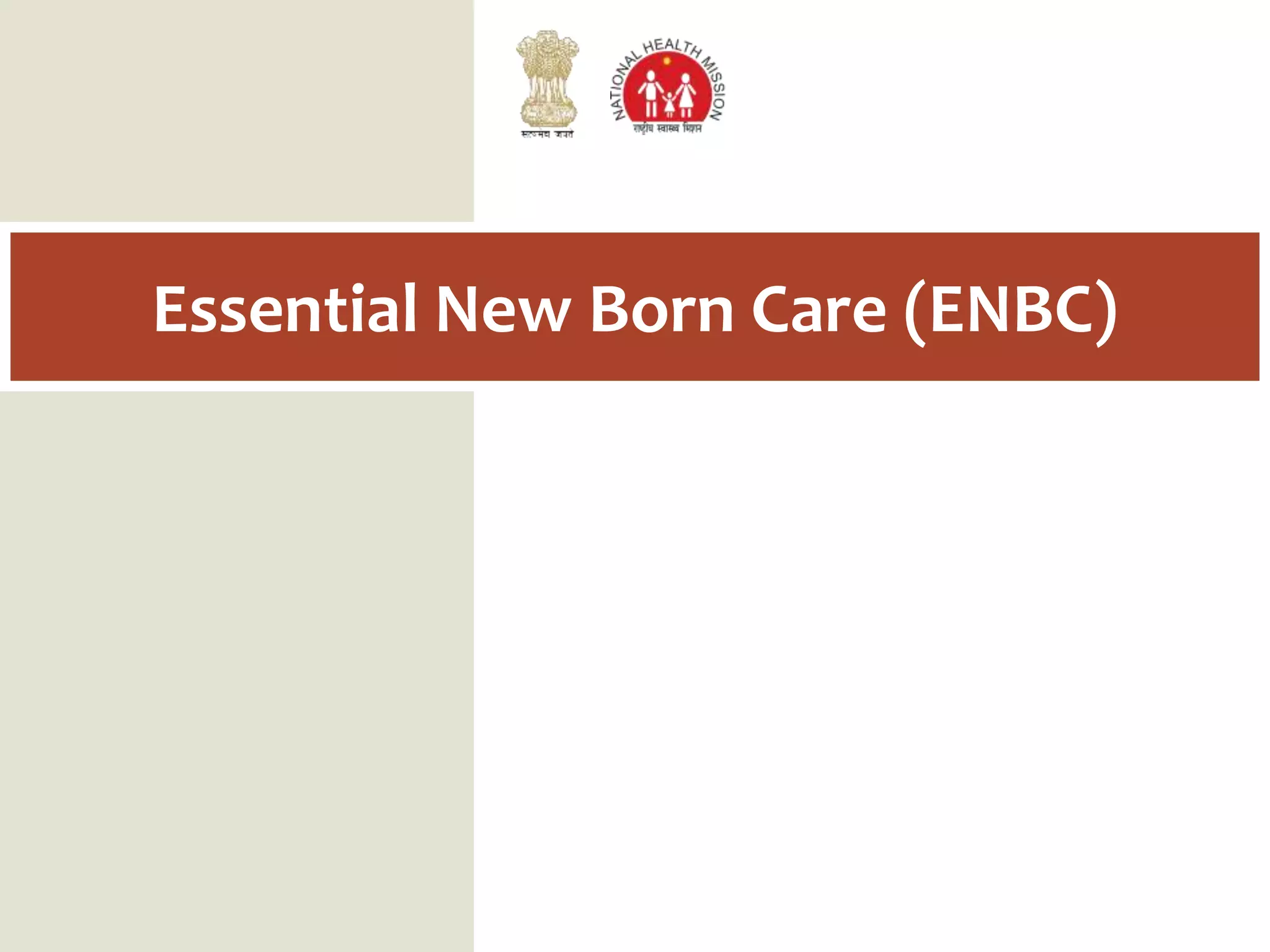 Essential Newborn Care pptx Free Download about-us-the-addice-birth-woman-wellness-center