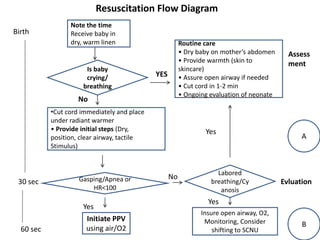 Note the time
Receive baby in
dry, warm linen
Is baby
crying/
breathing
Routine care
• Dry baby on mother’s abdomen
• Provide warmth (skin to
skincare)
• Assure open airway if needed
• Cut cord in 1-2 min
• Ongoing evaluation of neonate
•Cut cord immediately and place
under radiant warmer
• Provide initial steps (Dry,
position, clear airway, tactile
Stimulus)
Gasping/Apnea or
HR<100
Initiate PPV
using air/O2
Labored
breathing/Cy
anosis
Insure open airway, O2,
Monitoring, Consider
shifting to SCNU
YES
Birth
30 sec
60 sec
Resuscitation Flow Diagram
Assess
ment
A
Evluation
B
Yes
No
No
Yes
Yes
 