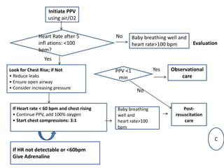 Initiate PPV
using air/O2
Heart Rate after 5
infl ations: <100
bpm?
Baby breathing well and
heart rate>100 bpm
Look for Chest Rise; if Not
• Reduce leaks
• Ensure open airway
• Consider increasing pressure
If Heart rate < 60 bpm and chest rising
• Continue PPV, add 100% oxygen
• Start chest compressions: 3:1
Baby breathing
well and
heart rate>100
bpm
Post-
resuscitation
care
PPV <1
min
Observational
care
Evaluation
C
Yes
No
Yes
No
If HR not detectable or <60bpm
Give Adrenaline
 