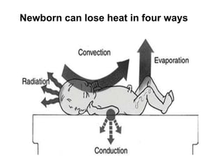 Newborn can lose heat in four ways
 
