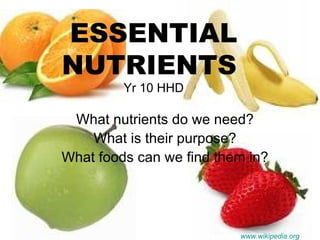 ESSENTIAL NUTRIENTS  Yr 10 HHD What nutrients do we need? What is their purpose? What foods can we find them in? www.wikipedia.org 