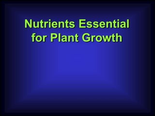 Nutrients Essential
for Plant Growth
 