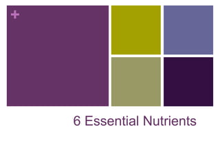 +




    6 Essential Nutrients
 