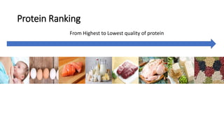 Protein Ranking
From Highest to Lowest quality of protein
 