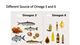 Different Source of Omega 3 and 6
 