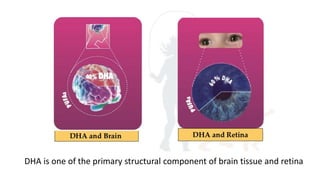 DHA is one of the primary structural component of brain tissue and retina
 