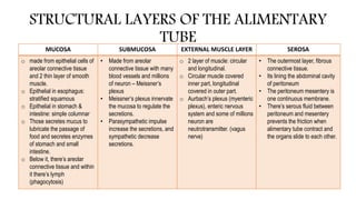 STRUCTURAL LAYERS OF THE ALIMENTARY
TUBE
MUCOSA SUBMUCOSA EXTERNAL MUSCLE LAYER SEROSA
o made from epithelial cells of
areolar connective tissue
and 2 thin layer of smooth
muscle.
o Epithelial in esophagus:
stratified squamous
o Epithelial in stomach &
intestine: simple columnar
o Those secretes mucus to
lubricate the passage of
food and secretes enzymes
of stomach and small
intestine.
o Below it, there’s areolar
connective tissue and within
it there’s lymph
(phagocytosis)
• Made from areolar
connective tissue with many
blood vessels and millions
of neuron – Meissner’s
plexus
• Meissner’s plexus innervate
the mucosa to regulate the
secretions.
• Parasympathetic impulse
increase the secretions, and
sympathetic decrease
secretions.
o 2 layer of muscle: circular
and longitudinal.
o Circular muscle covered
inner part, longitudinal
covered in outer part.
o Aurbach’s plexus (myenteric
plexus), enteric nervous
system and some of millions
neuron are
neutrotransmitter. (vagus
nerve)
• The outermost layer, fibrous
connective tissue.
• Its lining the abdominal cavity
of peritoneum
• The peritoneum mesentery is
one continuous membrane.
• There’s serous fluid between
peritoneum and mesentery
prevents the friction when
alimentary tube contract and
the organs slide to each other.
 