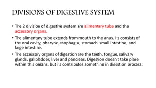 DIVISIONS OF DIGESTIVE SYSTEM
• The 2 division of digestive system are alimentary tube and the
accessory organs.
• The alimentary tube extends from mouth to the anus. Its consists of
the oral cavity, pharynx, esophagus, stomach, small intestine, and
large intestine.
• The accessory organs of digestion are the teeth, tongue, salivary
glands, gallbladder, liver and pancreas. Digestion doesn’t take place
within this organs, but its contributes something in digestion process.
 