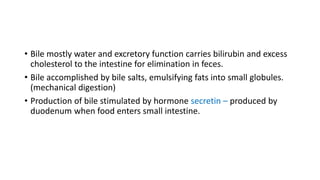 • Bile mostly water and excretory function carries bilirubin and excess
cholesterol to the intestine for elimination in feces.
• Bile accomplished by bile salts, emulsifying fats into small globules.
(mechanical digestion)
• Production of bile stimulated by hormone secretin – produced by
duodenum when food enters small intestine.
 