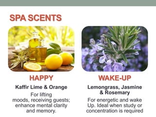 SPA SCENTS

HAPPY

WAKE-UP

Kaffir Lime & Orange
For lifting
moods, receiving guests;
enhance mental clarity
and memory.

Lemongrass, Jasmine
& Rosemary
For energetic and wake
Up. Ideal when study or
concentration is required

 