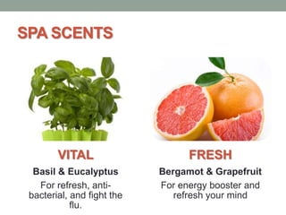 SPA SCENTS

VITAL

FRESH

Basil & Eucalyptus
For refresh, antibacterial, and fight the
flu.

Bergamot & Grapefruit
For energy booster and
refresh your mind

 