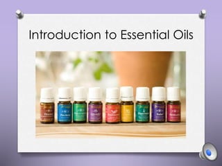 Introduction to Essential Oils
 