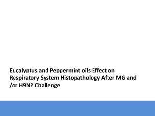 Eucalyptus and Peppermint oils Effect on
Respiratory System Histopathology After MG and
/or H9N2 Challenge
 