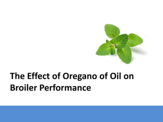 The Effect of Oregano of Oil on
Broiler Performance
 