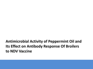 Antimicrobial Activity of Peppermint Oil and
Its Effect on Antibody Response Of Broilers
to NDV Vaccine
 