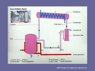 H&R Guide to Fragrance Ingredients 
