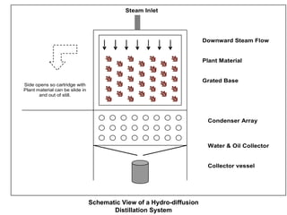 Schematic View of a Hydro-diffusion Distillation System 