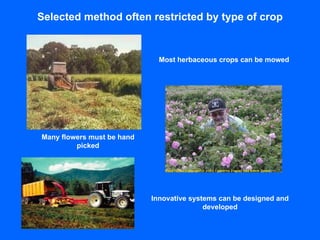 Selected method often restricted by type of crop Most herbaceous crops can be mowed Many flowers must be hand picked Innovative systems can be designed and developed 