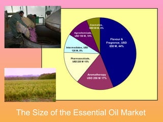 The Size of the Essential Oil Market 