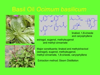 Basil Oil  Ocimum basilicum   estragol, eugenol, methyleugenol  and methyl cinnamate   linalool, 1,8-cineole  and caryophyllene   Major constituents: linalool and methylchavicol  (estragol), eugenol, methyleugenol,  methyl cinnamate, 1,8-cineole, caryophyllene   Extraction method: Steam Distillation 