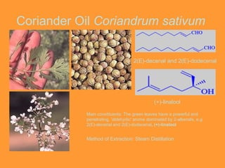 Coriander Oil  Coriandrum sativum   2(E)-decenal and 2(E)-dodecenal   (+)-linalool   Main constituents: The green leaves have a powerful and penetrating, 'aldehydic' aroma dominated by 2-alkenals, e.g.  2(E)-decenal and 2(E)-dodecenal ,  (+)-linalool   Method of Extraction: Steam Distillation 