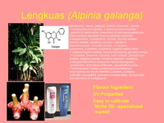 Lengkuas  (Alpinia galanga) UV Properties Flavour Ingredient Easy to cultivate Niche Oil –specialised market kampheride, alpinin, galangin, methyl cinnamate , cincole, 1’-acetoxychavicol acetate, 1’-hydroxychavicol acetate, galantin-3-methyl ether, a-terpineol, 4-hydroxybenzaldehyde,  trans -coniferyl diacetate, trans-p -courmaryl diacetate,  a-bergamotene, b-bisabolene, borneol, borneol acetate,  butanol acetate, campene, carveol I, carveol II,  chavicol acetate, citronellol acetate, a-copaene,  curcumene, p-cymene, p-cymenol, eugenol methyl ether,  1’-acetoxyeugenol acetate,  trans-b -farnescene, geraniol acetate, a-humulene, limonene, myrcene, nerol acetate, pentadecane,  linalool, propanol acetate, 2-methyl sabinene, santalene,  b-sesquiphellandrene (Malaysian Herbal Monograph) , g-terpinene, terpinolene, tridecane, caryophyllene oxide,  1’hydroxycineol acetate, p-hydroxycinnamaldehyde,  di-(p-hydroxy-cis-styryl)-methane, a-pinene, b-pinene,  quercetin, kaempferol, quercetin-3-methyl ether, isorhamnetin  and derivative of 4-allylphenol   