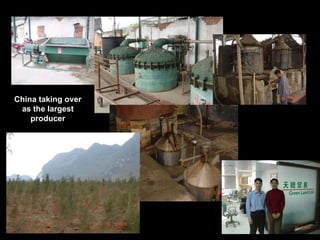 China taking over as the largest producer 