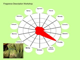 Fragrance Description Workshop 