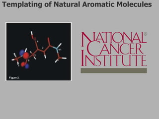 Templating of Natural Aromatic Molecules 