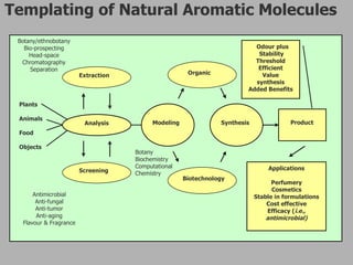Templating of Natural Aromatic Molecules 
